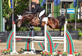 Pegasus Porvenir